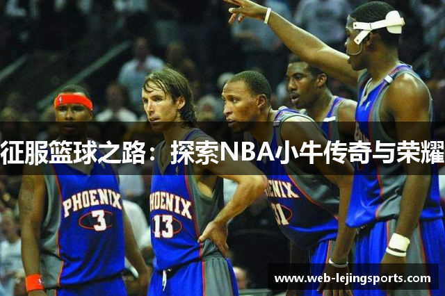 征服篮球之路：探索NBA小牛传奇与荣耀