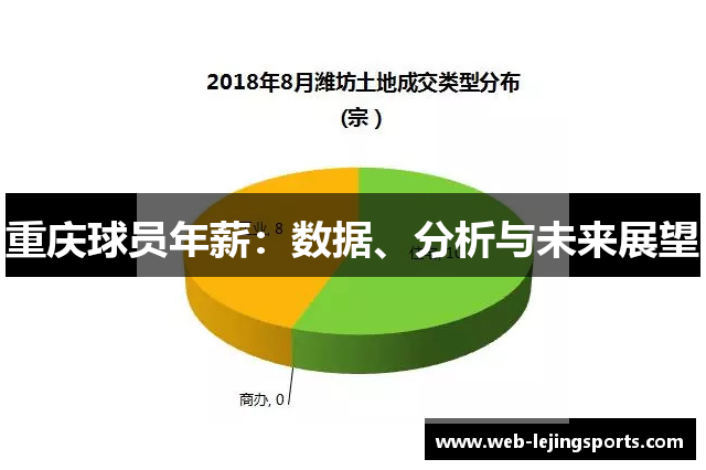 重庆球员年薪：数据、分析与未来展望